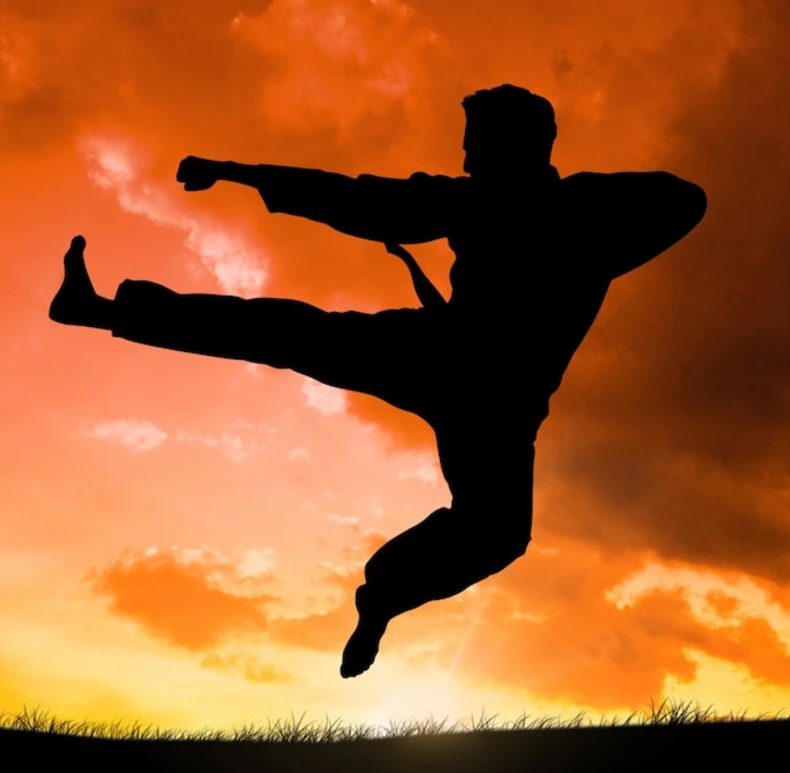 Martial Arts
